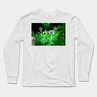 Small Globe Thistles 11 Long Sleeve T-Shirt